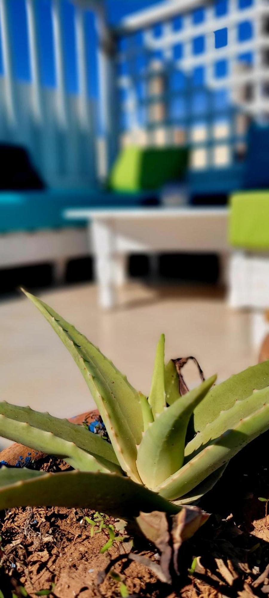 Riad Ocean Medina Suvayr Dış mekan fotoğraf