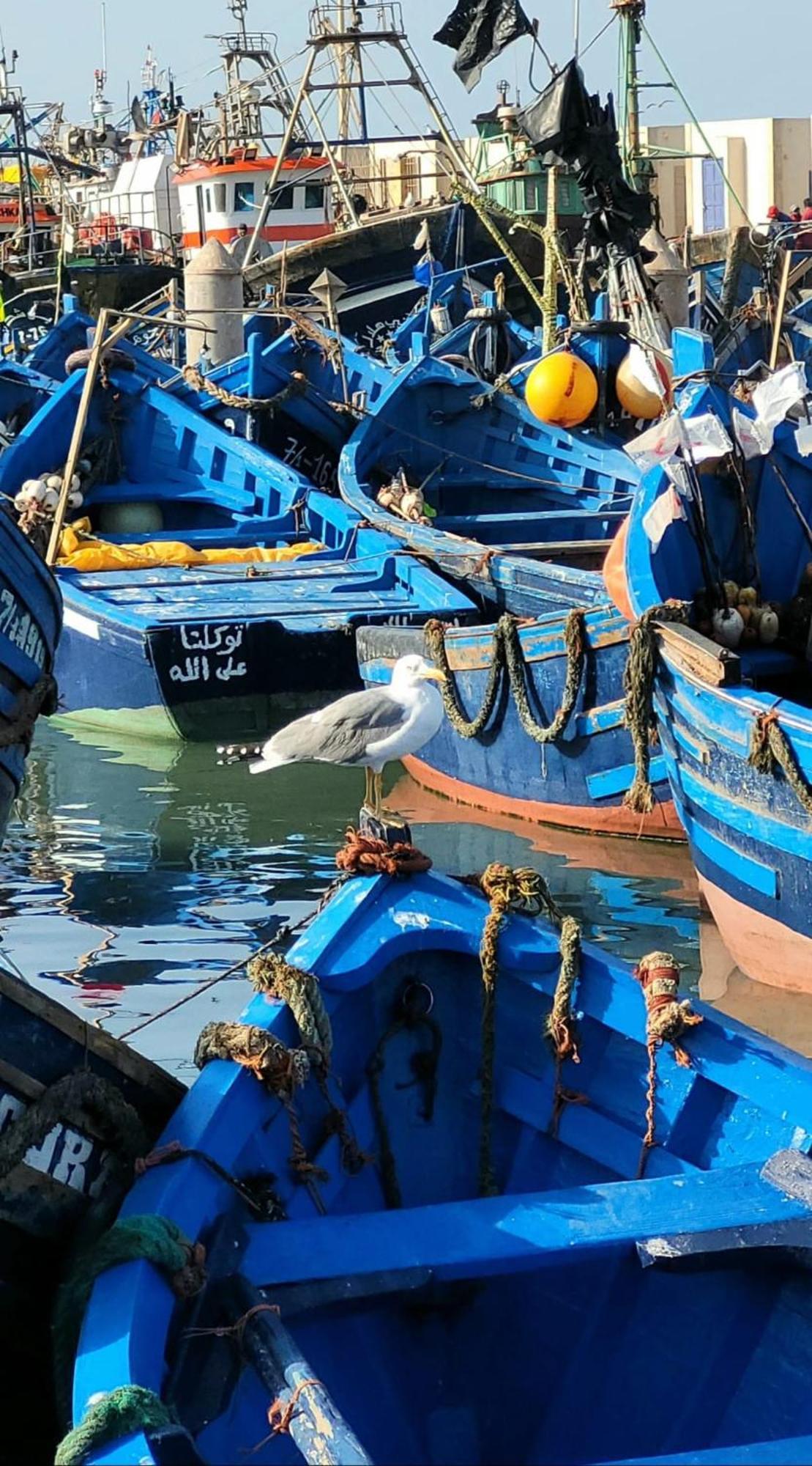 Riad Ocean Medina Suvayr Dış mekan fotoğraf