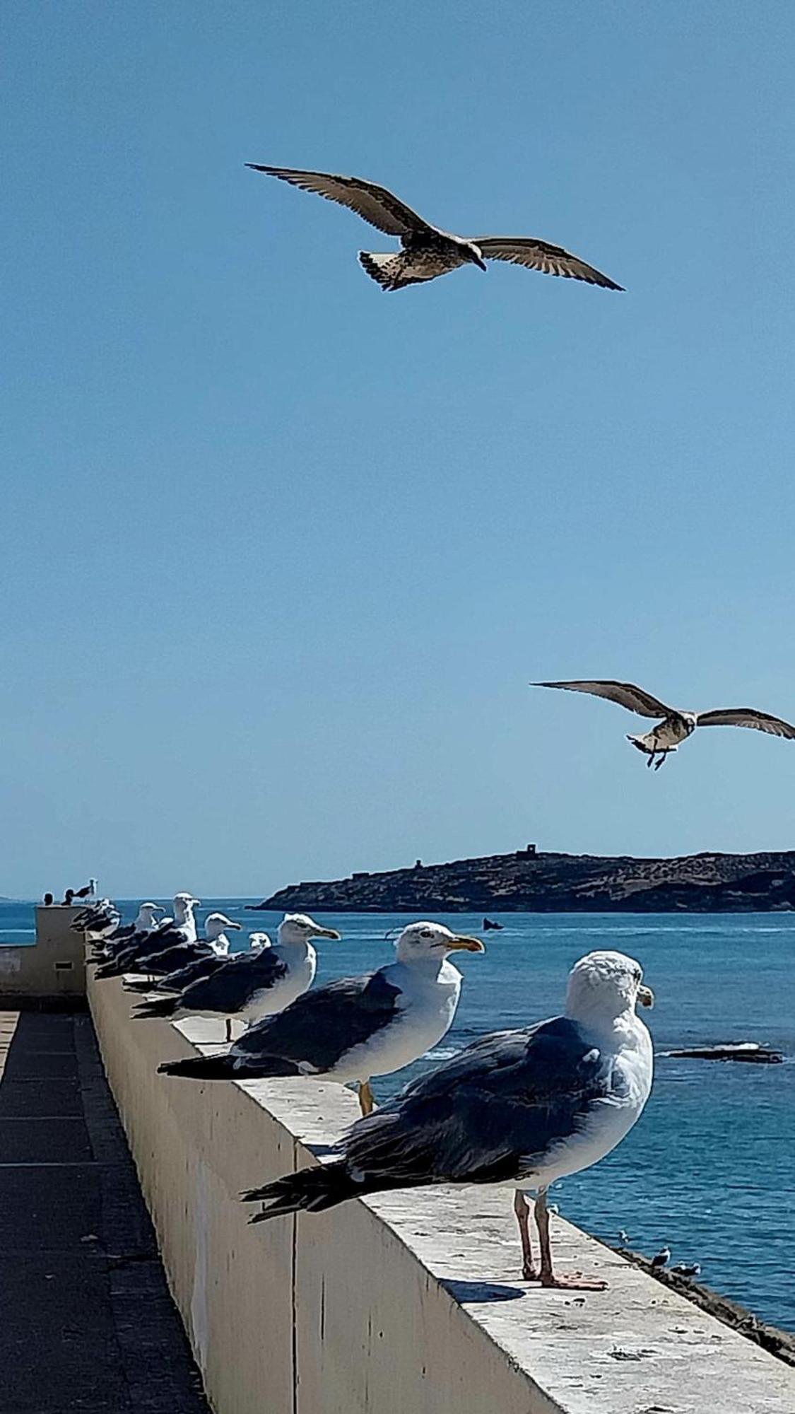 Riad Ocean Medina Suvayr Dış mekan fotoğraf