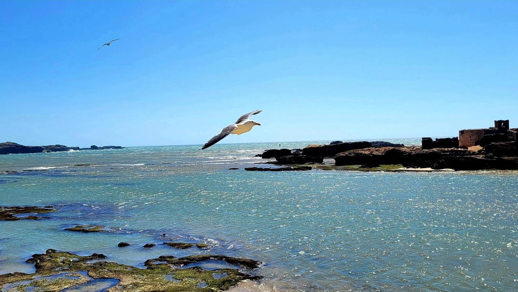 Riad Ocean Medina Suvayr Dış mekan fotoğraf